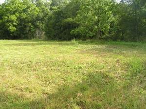 Front of lot next to road