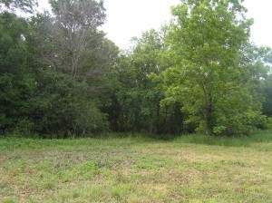 Front of lot next to road