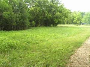 Front of lot next to road