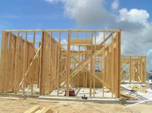POC House framing Week 1