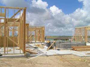 POC House framing Week 1