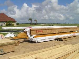 POC House framing Week 1