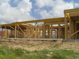 view from back yard
