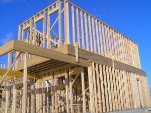 POC House Framing Week 3