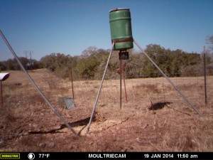 MOULTRIE DIGITAL GAME CAMERA