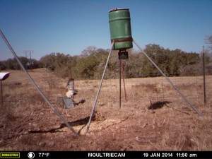 MOULTRIE DIGITAL GAME CAMERA