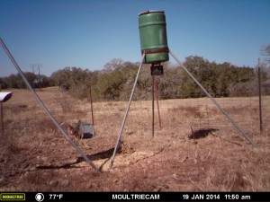 MOULTRIE DIGITAL GAME CAMERA