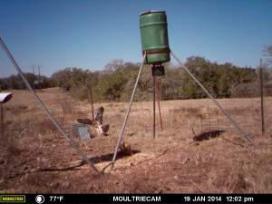 MOULTRIE DIGITAL GAME CAMERA