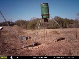 MOULTRIE DIGITAL GAME CAMERA