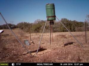 MOULTRIE DIGITAL GAME CAMERA