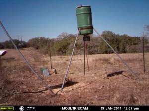 MOULTRIE DIGITAL GAME CAMERA