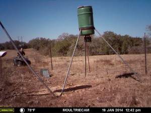 MOULTRIE DIGITAL GAME CAMERA