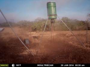 MOULTRIE DIGITAL GAME CAMERA
