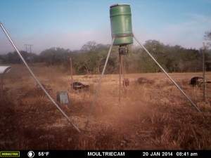 MOULTRIE DIGITAL GAME CAMERA