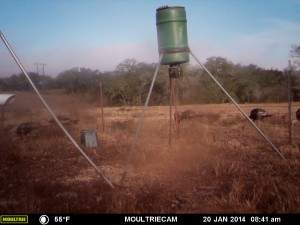 MOULTRIE DIGITAL GAME CAMERA