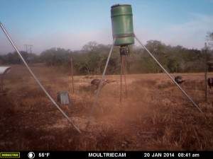 MOULTRIE DIGITAL GAME CAMERA