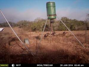 MOULTRIE DIGITAL GAME CAMERA