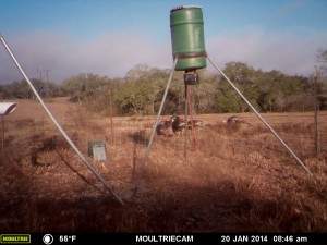 MOULTRIE DIGITAL GAME CAMERA