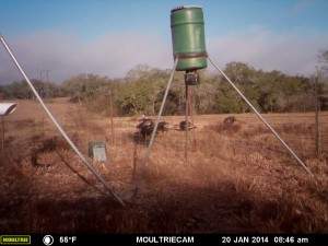 MOULTRIE DIGITAL GAME CAMERA