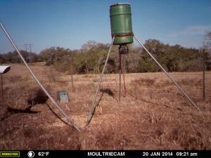 MOULTRIE DIGITAL GAME CAMERA
