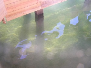 Water is clear. Shean is actually wind ripple