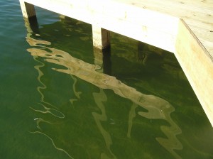 Water is clear. Shean is actually wind ripple