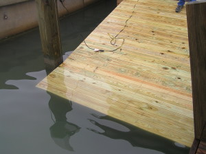 Gator Lifter Ramp at Dock