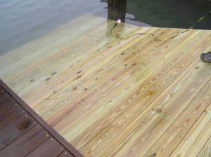 Gator Lifter Ramp at Dock