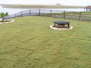 Fire Pit in Back Yard