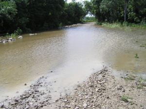 Denton Creek at CR299