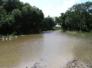 Denton Creek at CR299