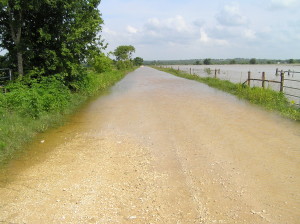 Braden Road looking toward Steen Road