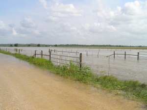 Braden Road looking toward Steen Road